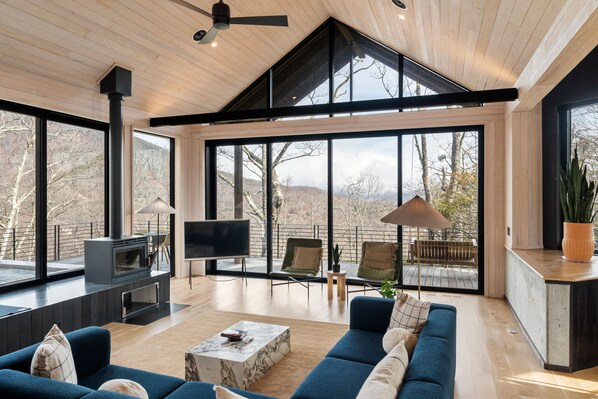 Televisión, chimenea, tenis de mesa y monitor de computadora 