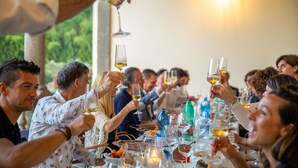 A group of people toasting at a table with wine glasses, surrounded by various bottles and glasses.