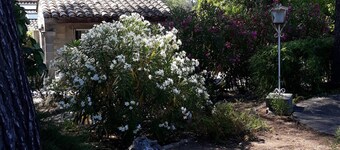 Holiday Home 'Frejus' with Shared Pool, Shared Terrace and Air Conditioning