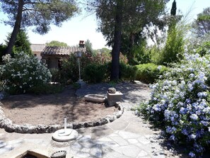 المنطقة المحيطة بالمنشأة