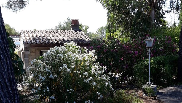 A stone pathway leading to a traditional house with a tiled roof, surrounded by lush greenery and flowering bushes. - Holiday Home 'Frejus' with Shared Pool, Shared Terrace and Air Conditioning (Frejus)