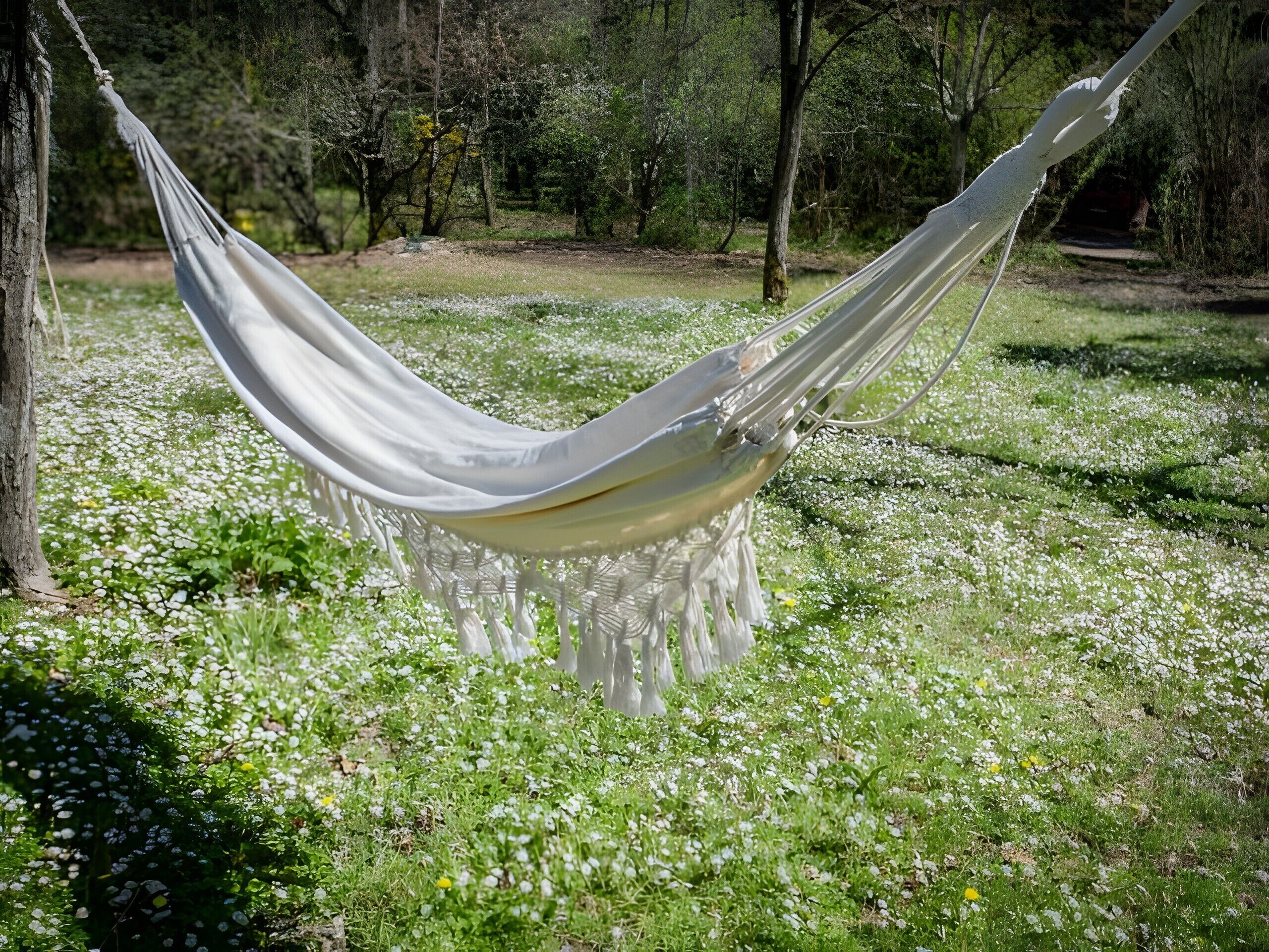 A hammock in a grassy area with trees in the background.