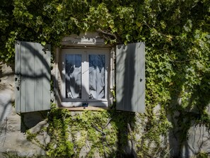 Una ventana con contraventanas entreabiertas, rodeada de exuberante follaje verde.