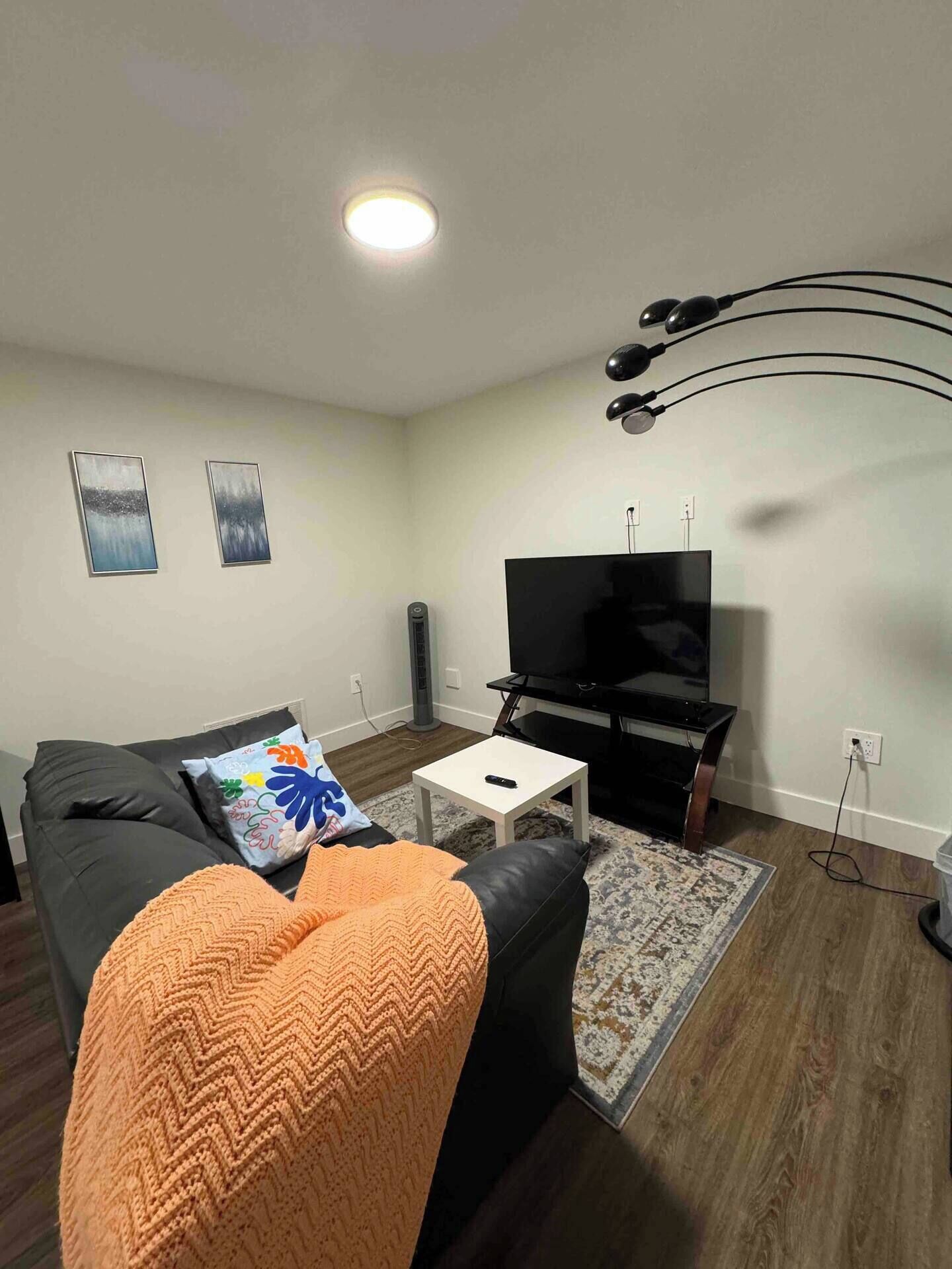 A living room with a black sofa, a white coffee table, a TV, and a patterned rug.