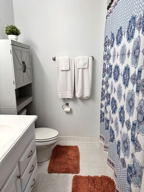 Shower, hair dryer, bidet, towels