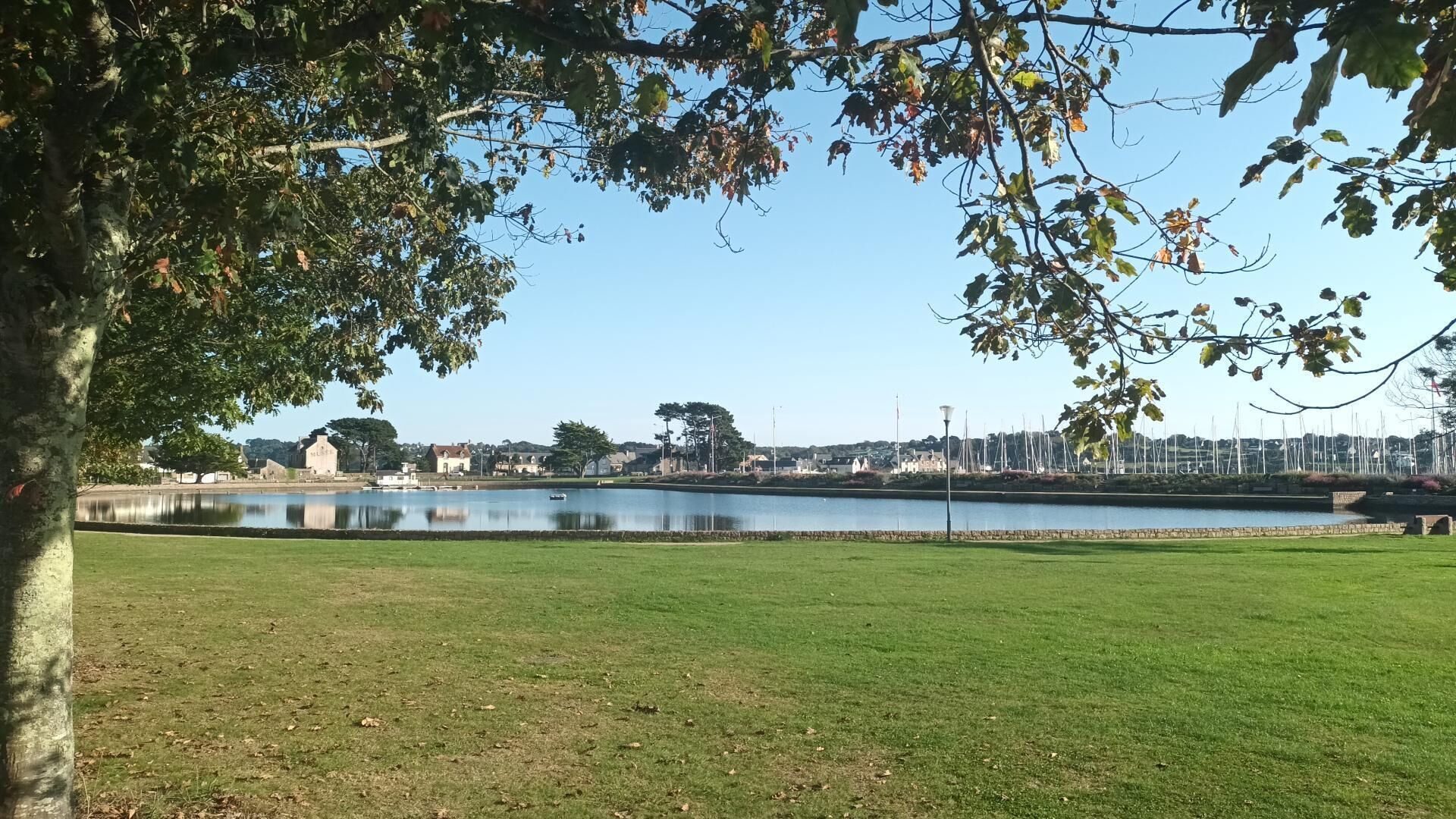 Um parque com gramado, um lago, árvores e uma vista distante de casas e um porto de iates.