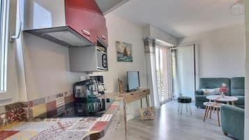 A compact living space with a kitchenette, a dining area, and a seating area with a sofa and a small table.