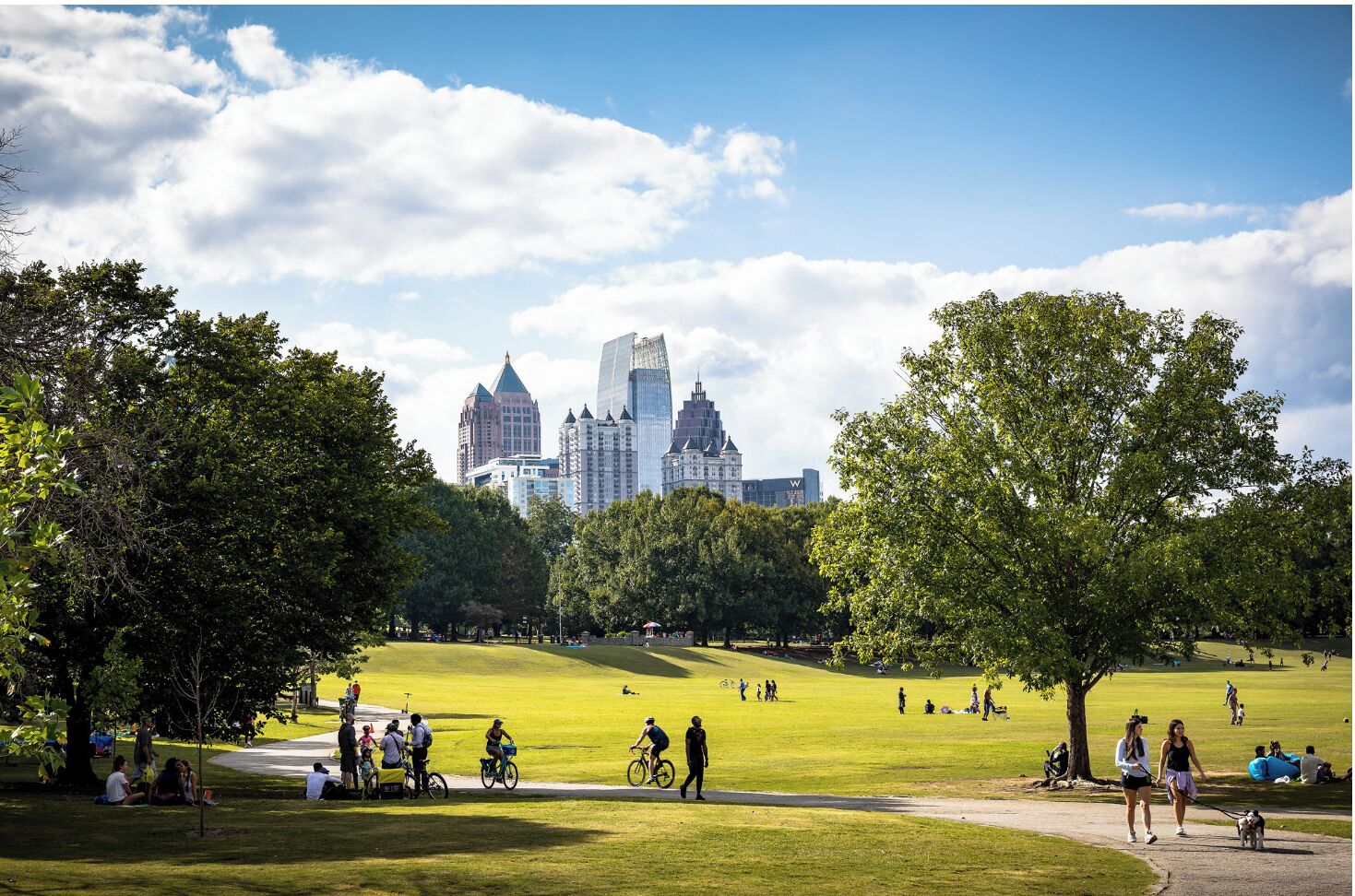 A park with a city skyline in the background, featuring a variety of trees and open grassy areas.