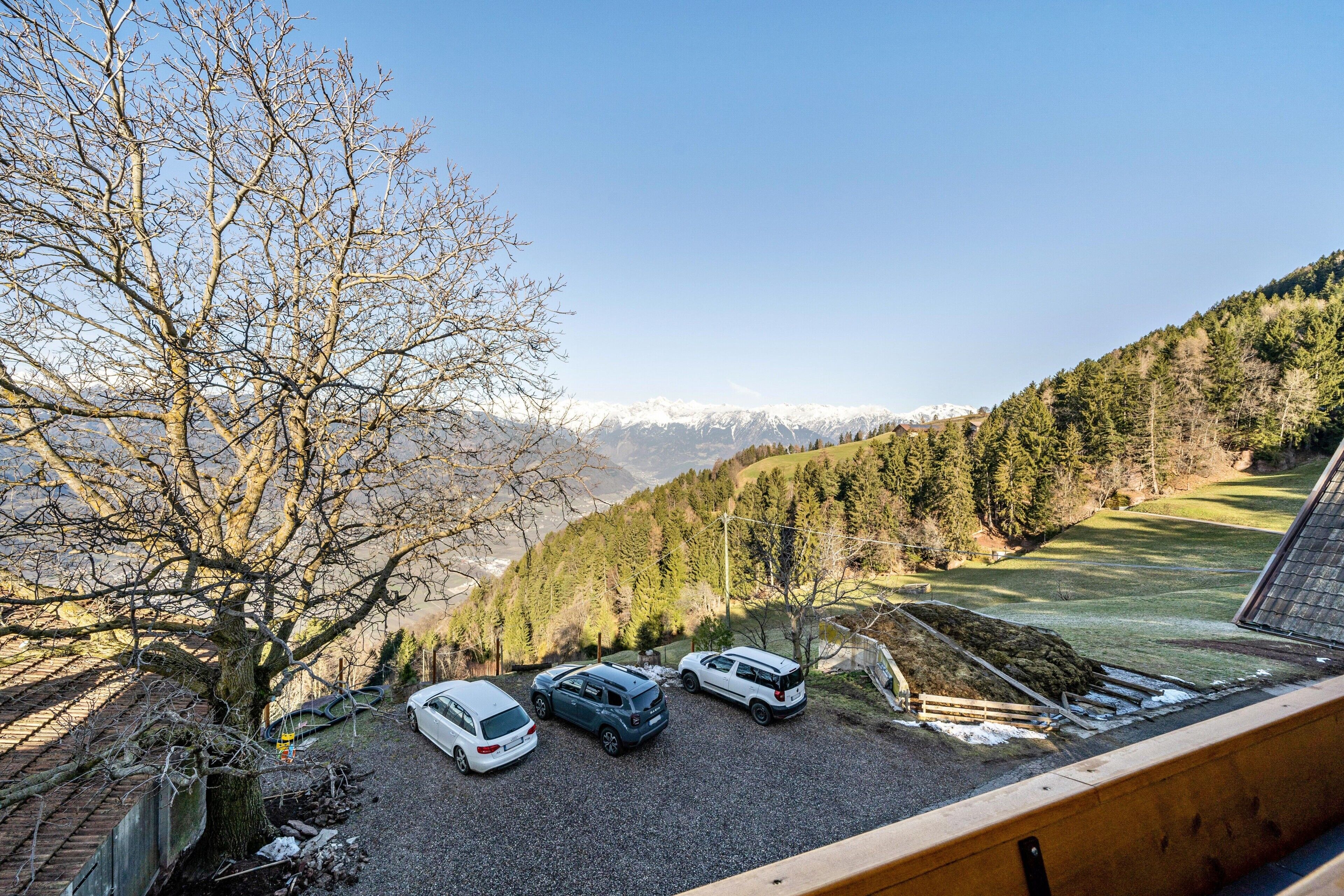Ein Parkplatz mit drei Autos, einem Baum und Blick auf Berge.