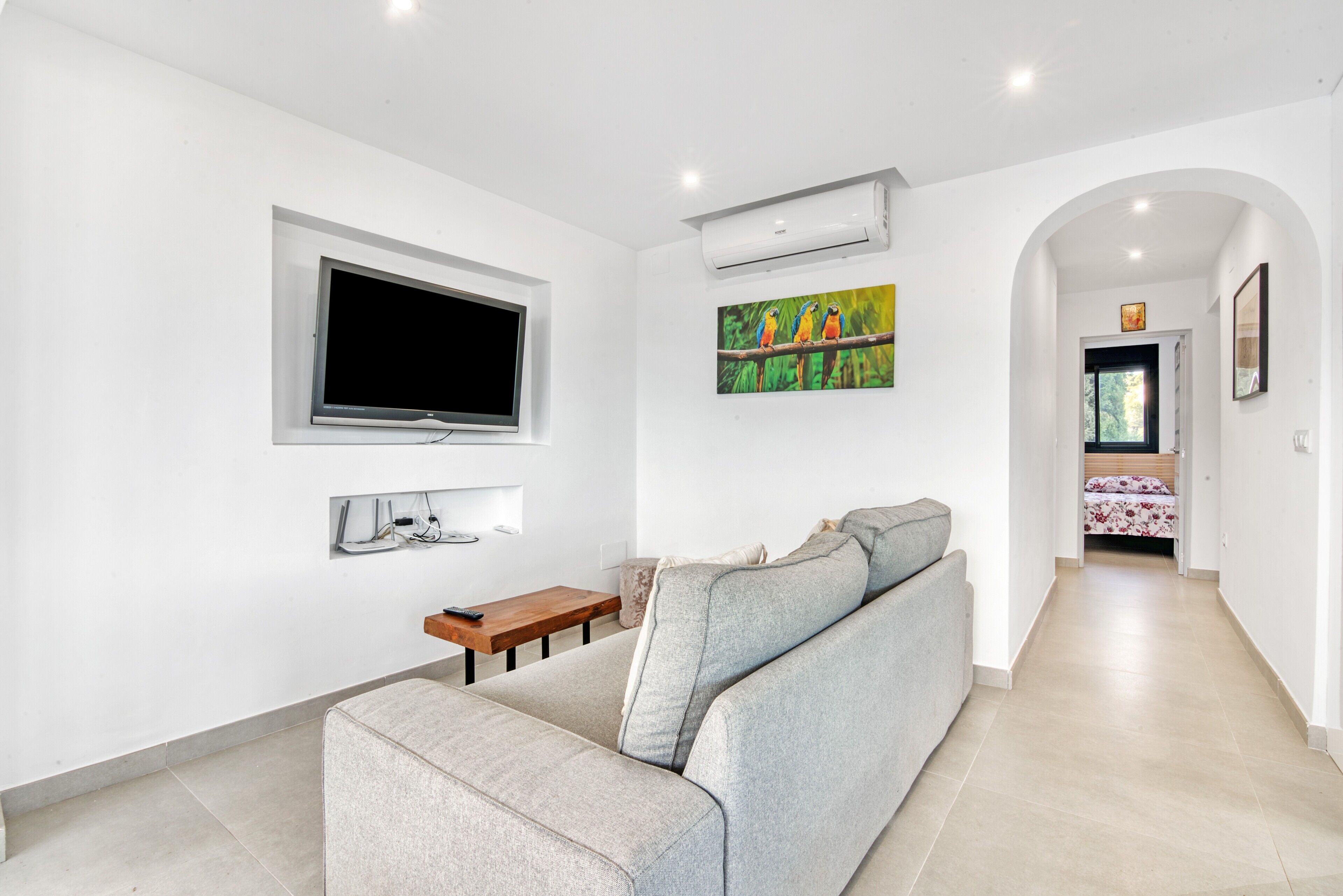 A modern living room with a grey sofa, a flat-screen TV, an air conditioning unit, and a painting of birds on the wall.
