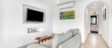 A modern living room with a grey sofa, a flat-screen TV, an air conditioning unit, and a painting of birds on the wall.