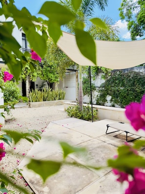 テラス / パティオ