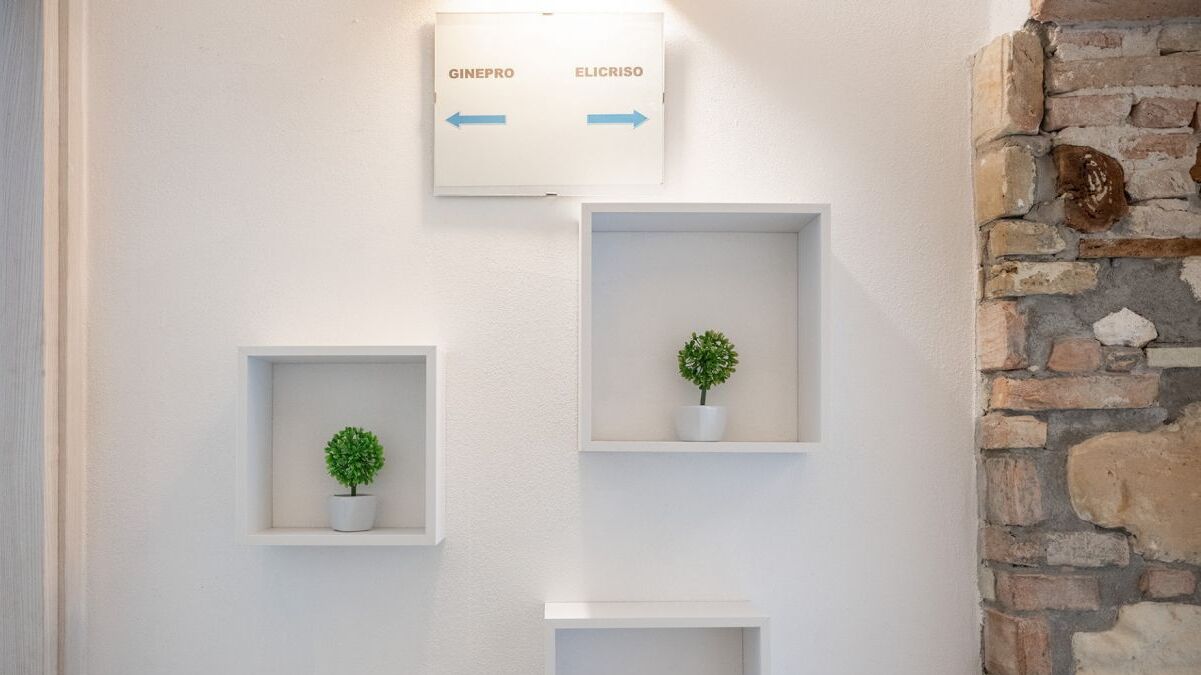 A wall with three white shelves, each containing a potted plant. There is a sign above the shelves with arrows pointing left and right, labeled "GINEPRO" and "ELICRISO."