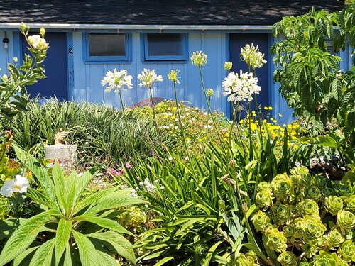 Mendocino Garden Studio #2, Full kitchen