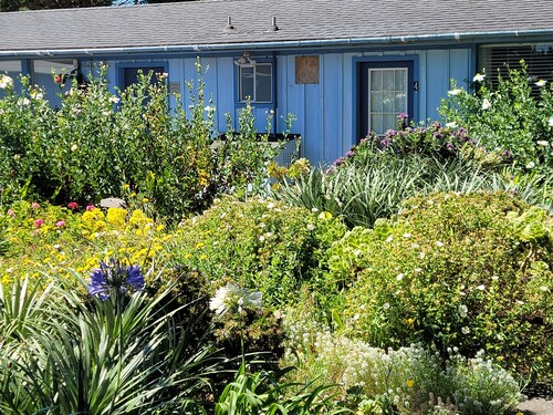 Mendocino Garden Studio #4, Full kitchen
