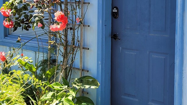 Une porte bleue avec une plaque portant le numéro 5, une échelle en bois et une plante aux fleurs roses.