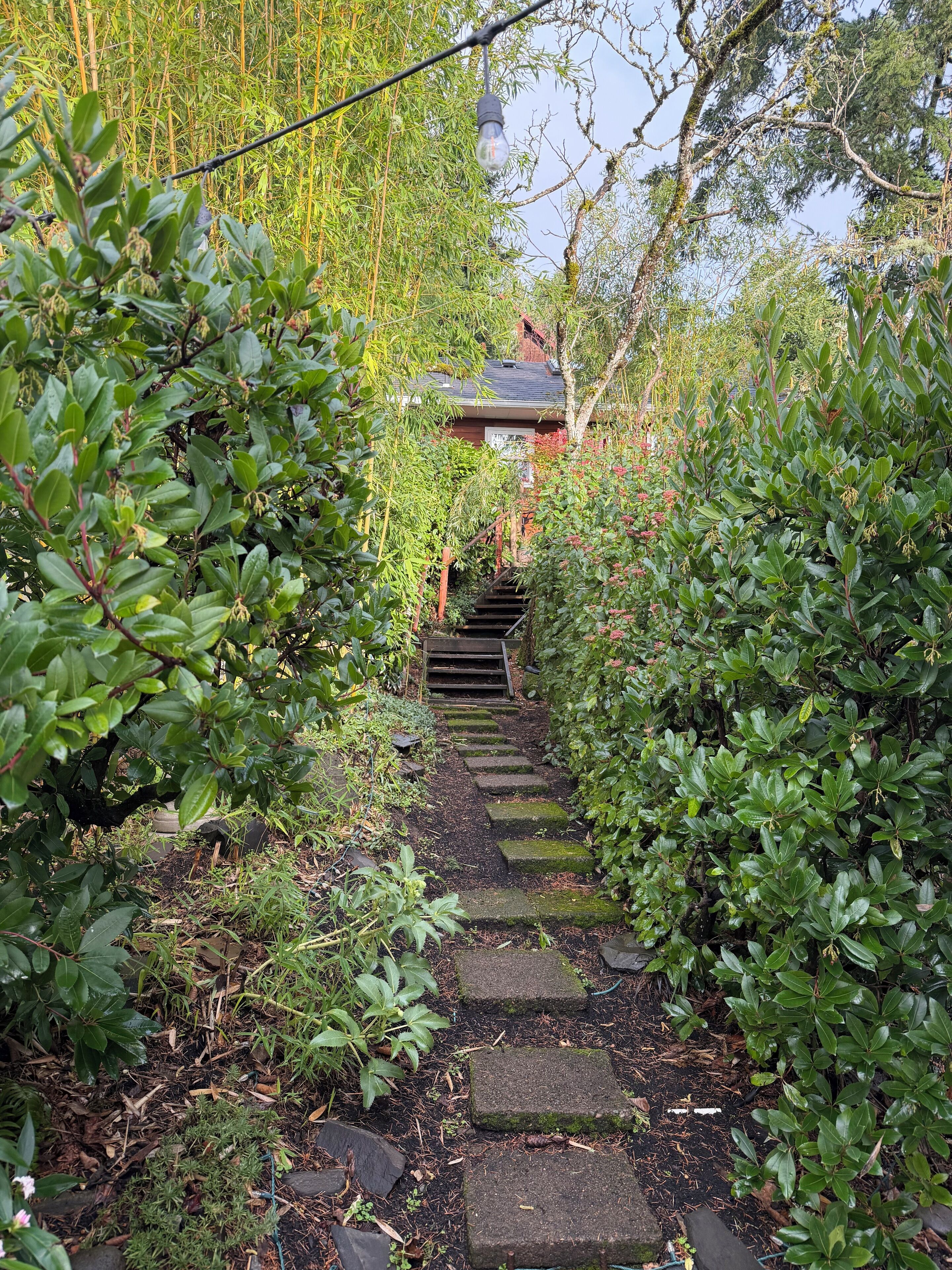Jardines del alojamiento