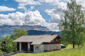 Eksteriør