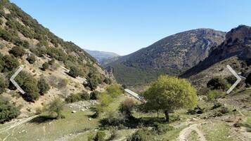 Un paisaje montañoso con un sendero de tierra, un edificio pequeño y un bosque denso.
