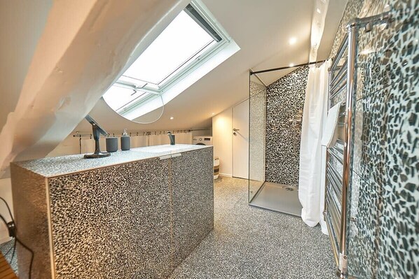 Shower, hair dryer, towels