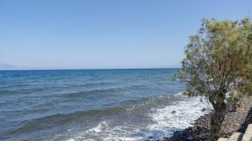 Nära stranden