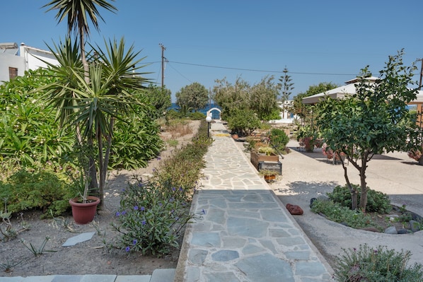 A stone pathway leading to a blue archway, surrounded by greenery and potted plants.