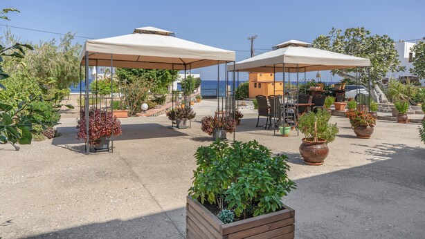 An outdoor patio area with tables and chairs under canopies, surrounded by potted plants.