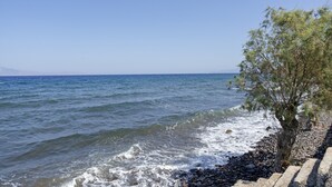 A coastal scene with a rocky shoreline, waves, and a tree.