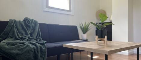 Smart TV, fireplace, offices