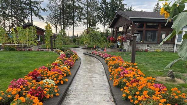 A pathway lined with vibrant flower beds leading to a lodge with a stone facade and wooden accents. - Mountain View Farm Experience! (Pitt Meadows)