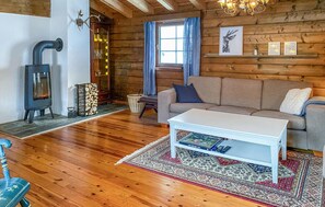 Fernseher, Kamin