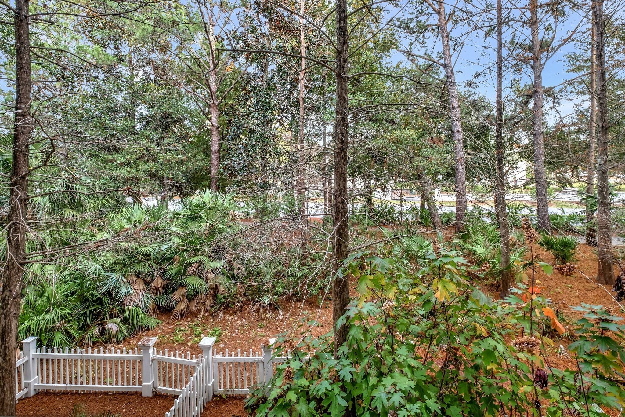Uma área arborizada com árvores altas e uma cerca de piquetes brancos.