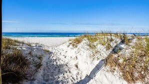 Una platja de sorra blanca i vegetació escassa.