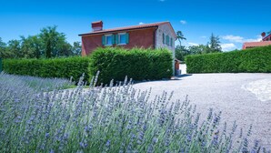 Ett hus med ett rött tak och stenväggar, omgivet av en grusuppfart och ett fält med lavendel.