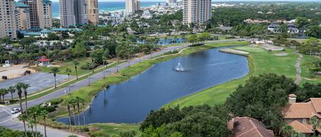 A residential area with a large body of water, palm trees, and high-rise buildings in the background.