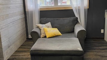 TV connectée, cheminée, lecteur de DVD
