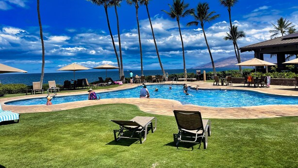 Un espace piscine aménagé avec des chaises longues, des parasols et des palmiers.