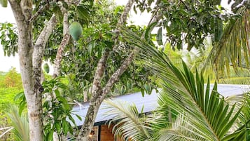 Family Bungalow, 2 Queen Beds, Garden View | 1 bedroom, Egyptian cotton sheets, premium bedding, memory foam beds