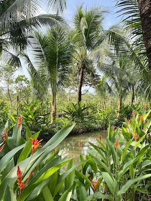 Exterior - Gò Chanh Homestay (Chau Thanh)