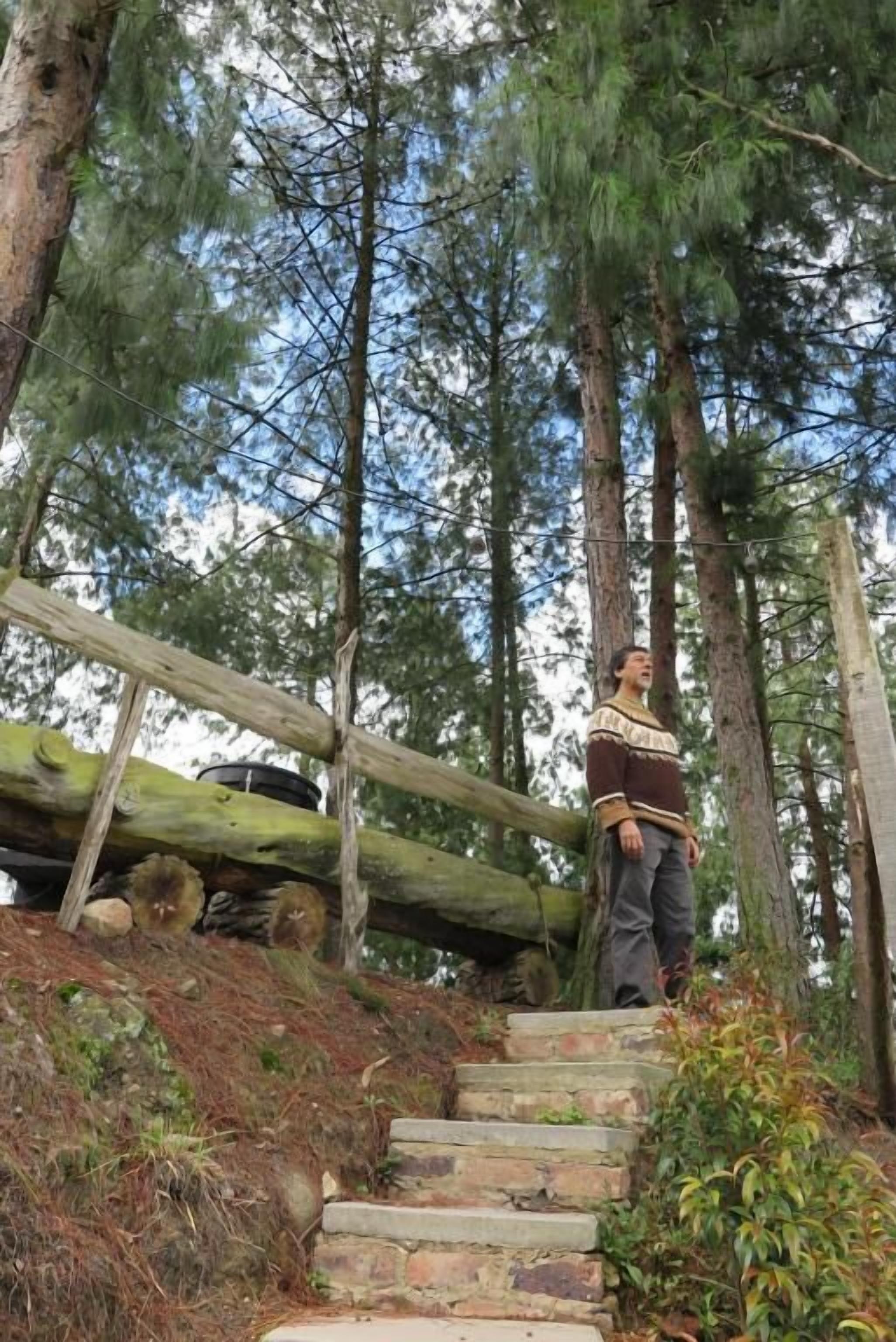 A person standing on a stone staircase in a forested area with wooden railings.