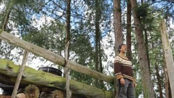 A person standing on a stone staircase in a forested area with wooden railings.