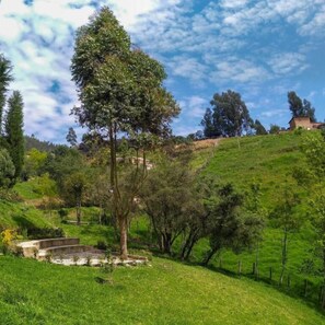 Property grounds - Casa Barcelona (Duitama)