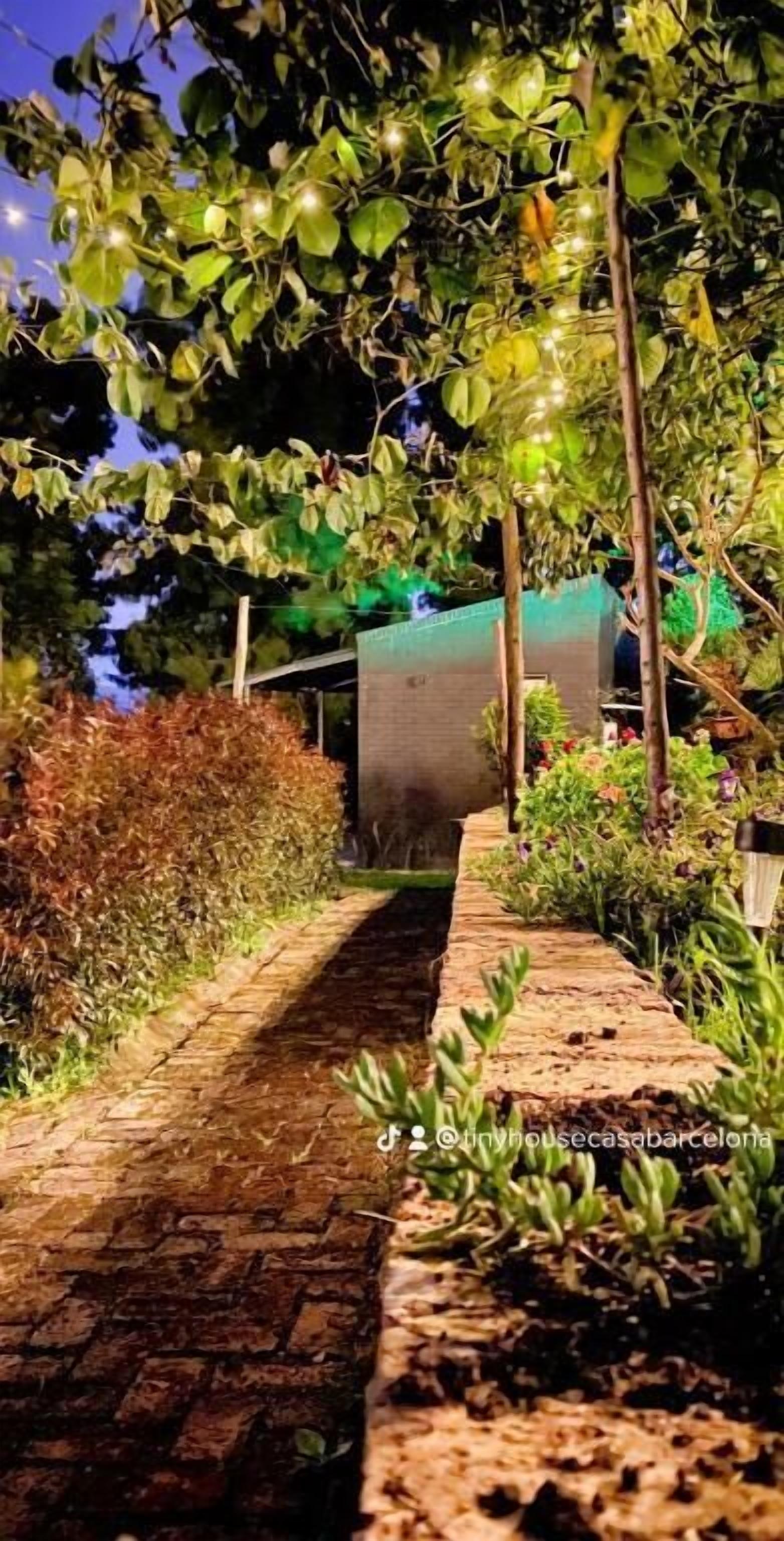 A pathway lined with greenery and a brick wall, leading to a building with a visible entrance.
