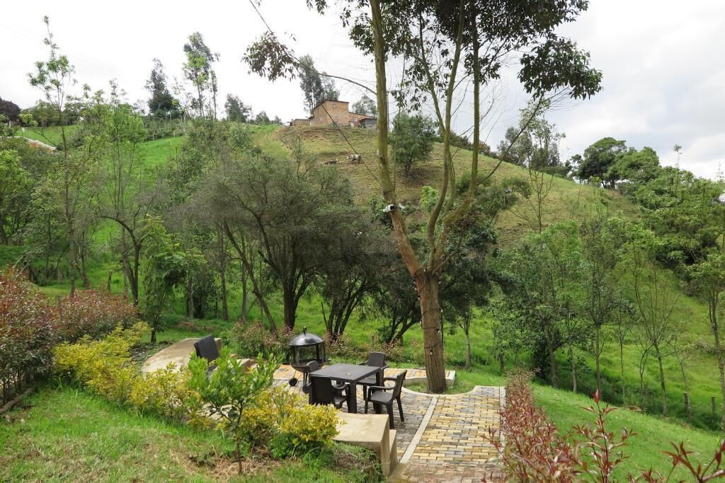 Un patio con mobiliario exterior, rodeado de abundante follaje y árboles.