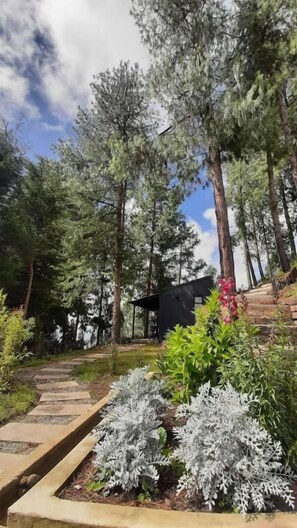 Property grounds - Casa Barcelona (Duitama)