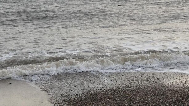 Una playa con olas acercándose a la orilla.