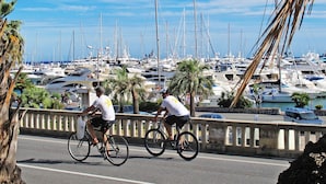 Un port de plaisance où de nombreux bateaux sont amarrés, une route bordée de cyclistes et des palmiers.