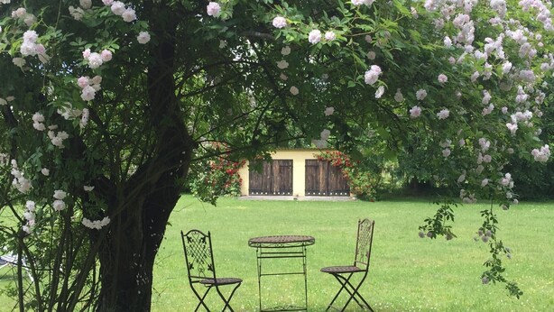Uma árvore com flores cor-de-rosa, uma pequena mesa com duas cadeiras e um edifício ao fundo.