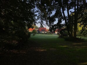 Área da propriedade