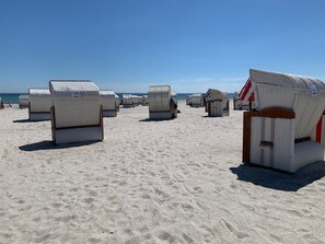 Beach chairs arranged on a sandy beach with a clear sky.
